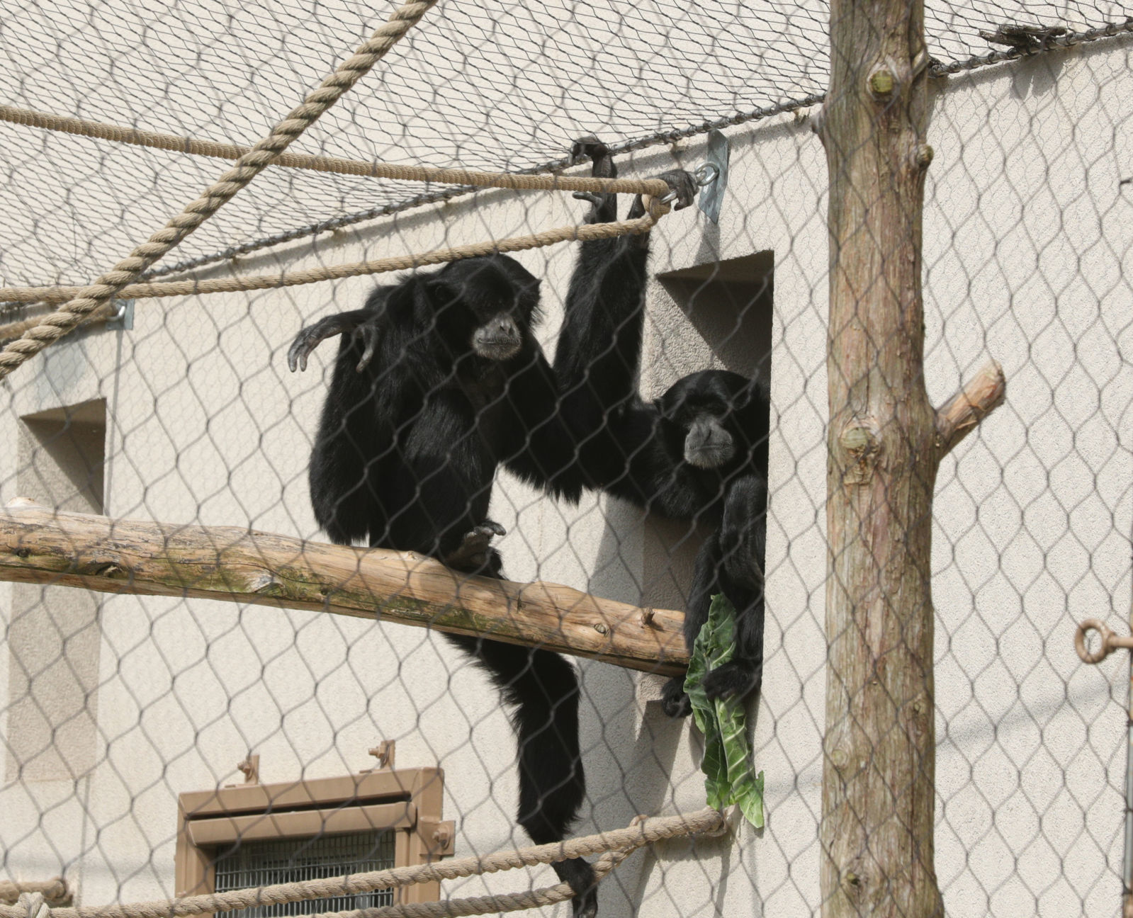 Cape May Zoo